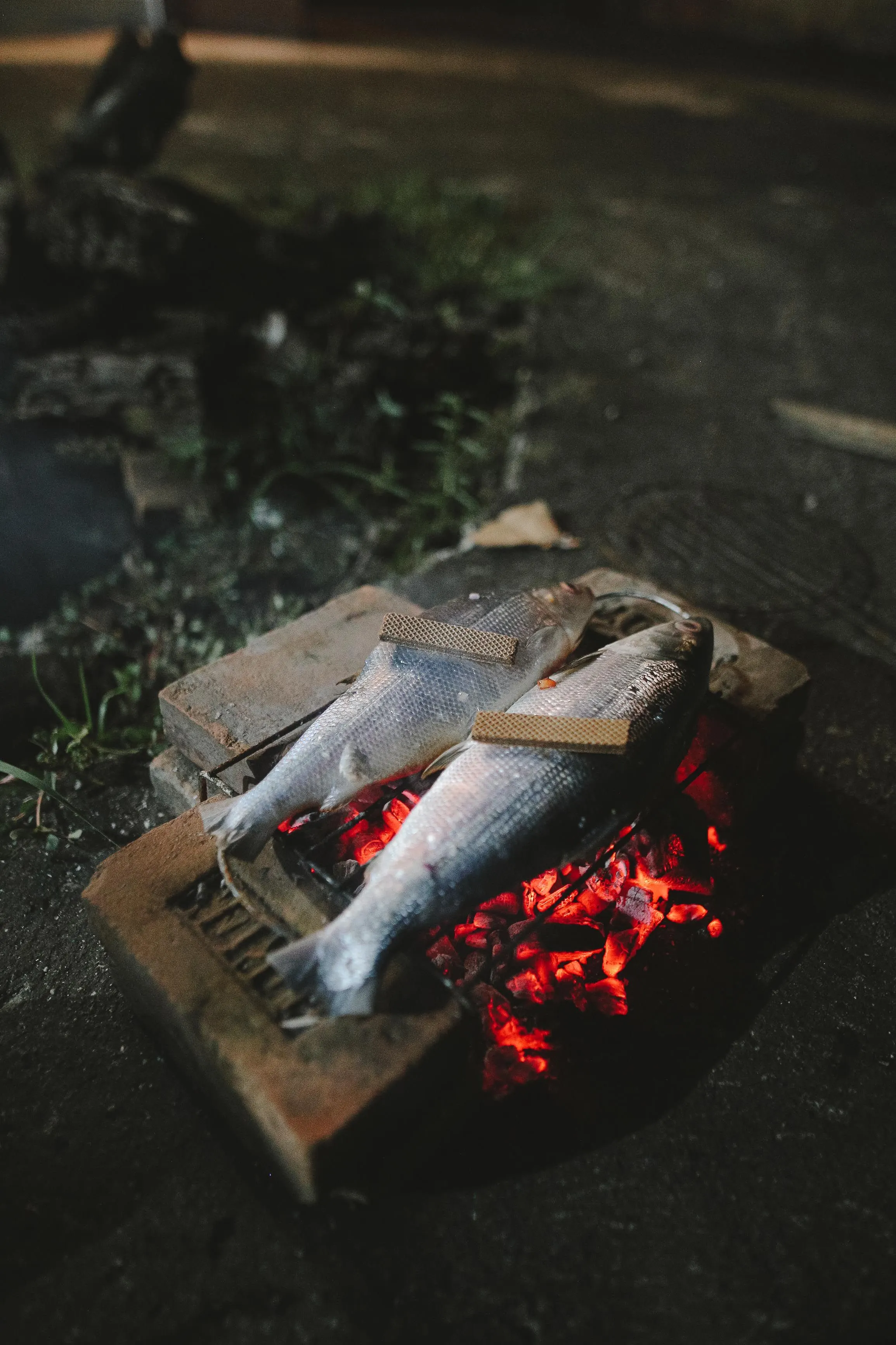 Pescado entero asándose sobre brasas al aire libre